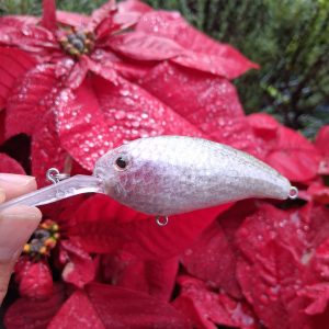 Custom Crank bait