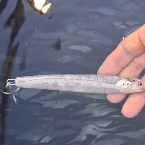 Custom Metal Jig (60-150g)