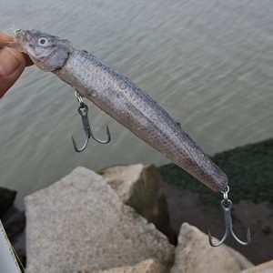 Custom Jerk Bait