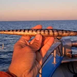 Custom Metal Jig (200-500g)